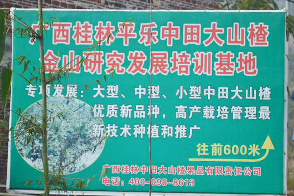 中田大山楂研发培训基地