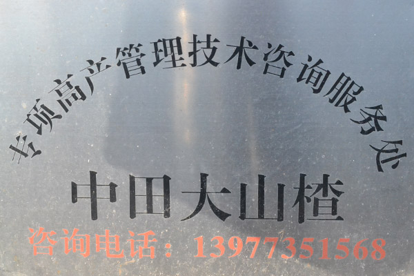 中田大山楂技术咨询服务处